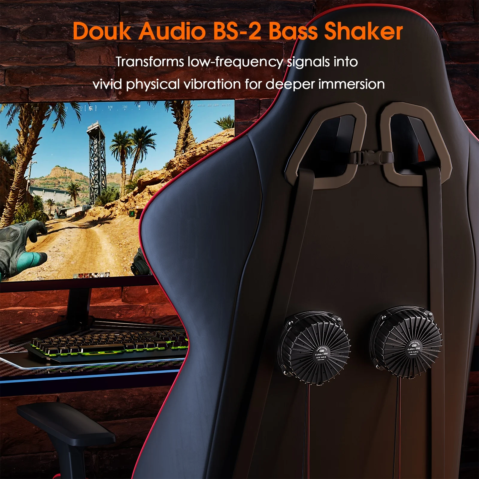 Douk Audio BS-2 30W 4Ω Bass Sh - Audio Home Cinema 评论和价格