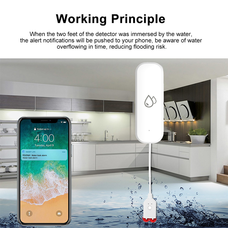Tuya WiFi Water Leakage Alarm  - Home Cinema Alexa 评论和价格